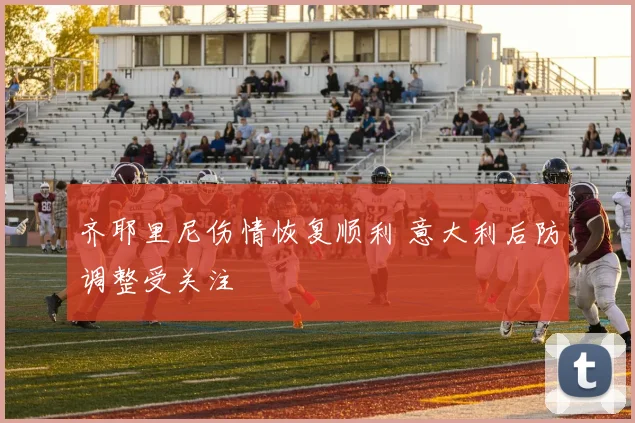 齐耶里尼伤情恢复顺利 意大利后防调整受关注