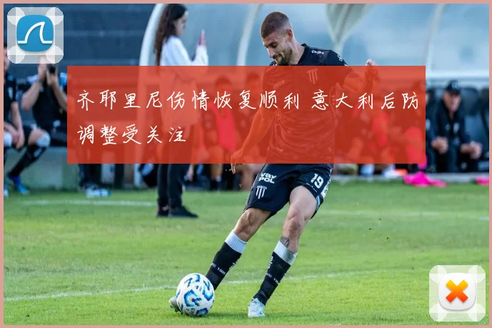 齐耶里尼伤情恢复顺利 意大利后防调整受关注