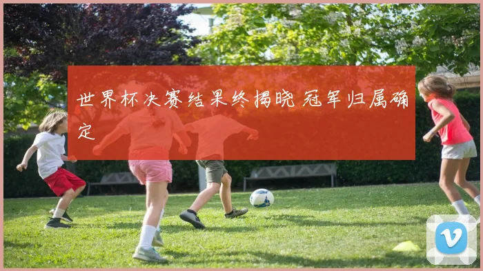 世界杯决赛结果终揭晓 冠军归属确定