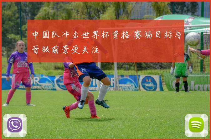 中国队冲击世界杯资格 赛场目标与晋级前景受关注