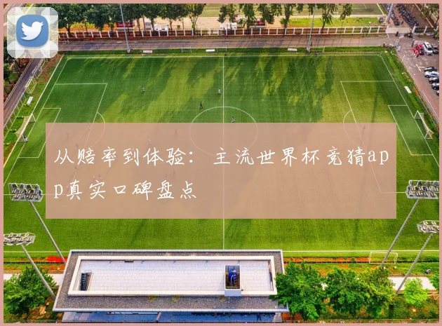 从赔率到体验：主流世界杯竞猜app真实口碑盘点