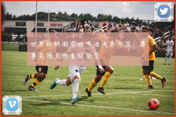 世界杯热潮带动啤酒消费升温，赛事氛围点燃看球场景