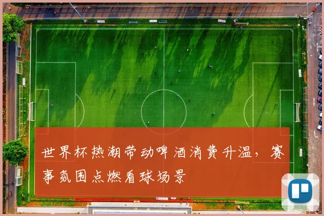 世界杯热潮带动啤酒消费升温，赛事氛围点燃看球场景