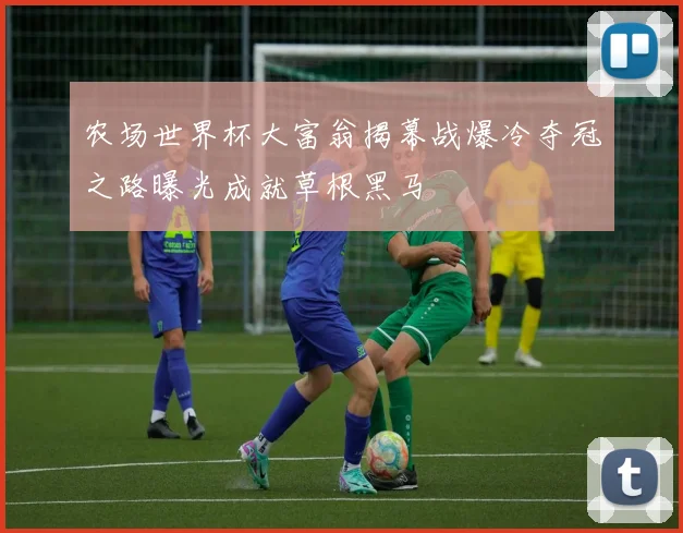 农场世界杯大富翁揭幕战爆冷夺冠之路曝光成就草根黑马