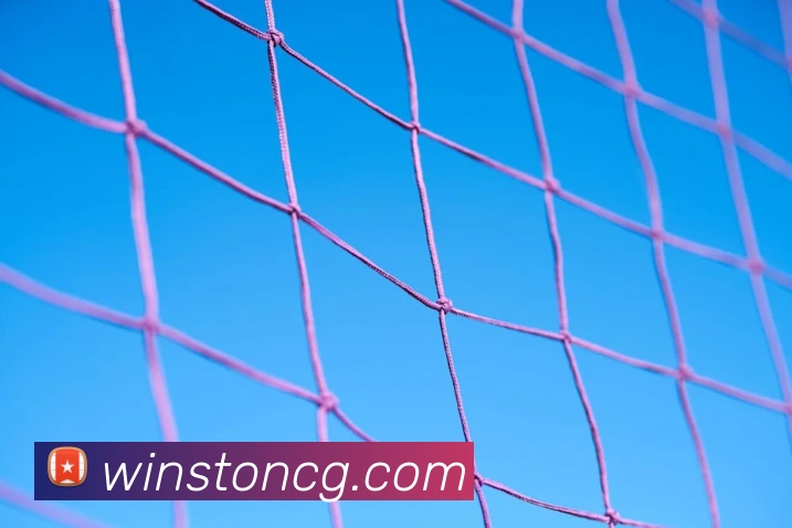 云顶集团官方入口APP 体育赛事宣传图